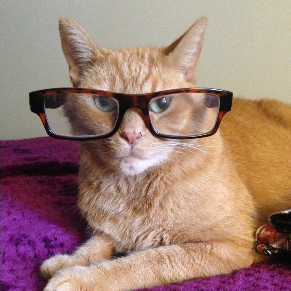 Meet your Posher, Karoline